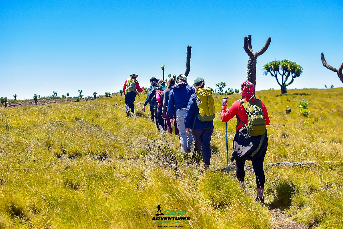 TABLE MOUNTAIN – SEVEN PONDS TRAVERSE