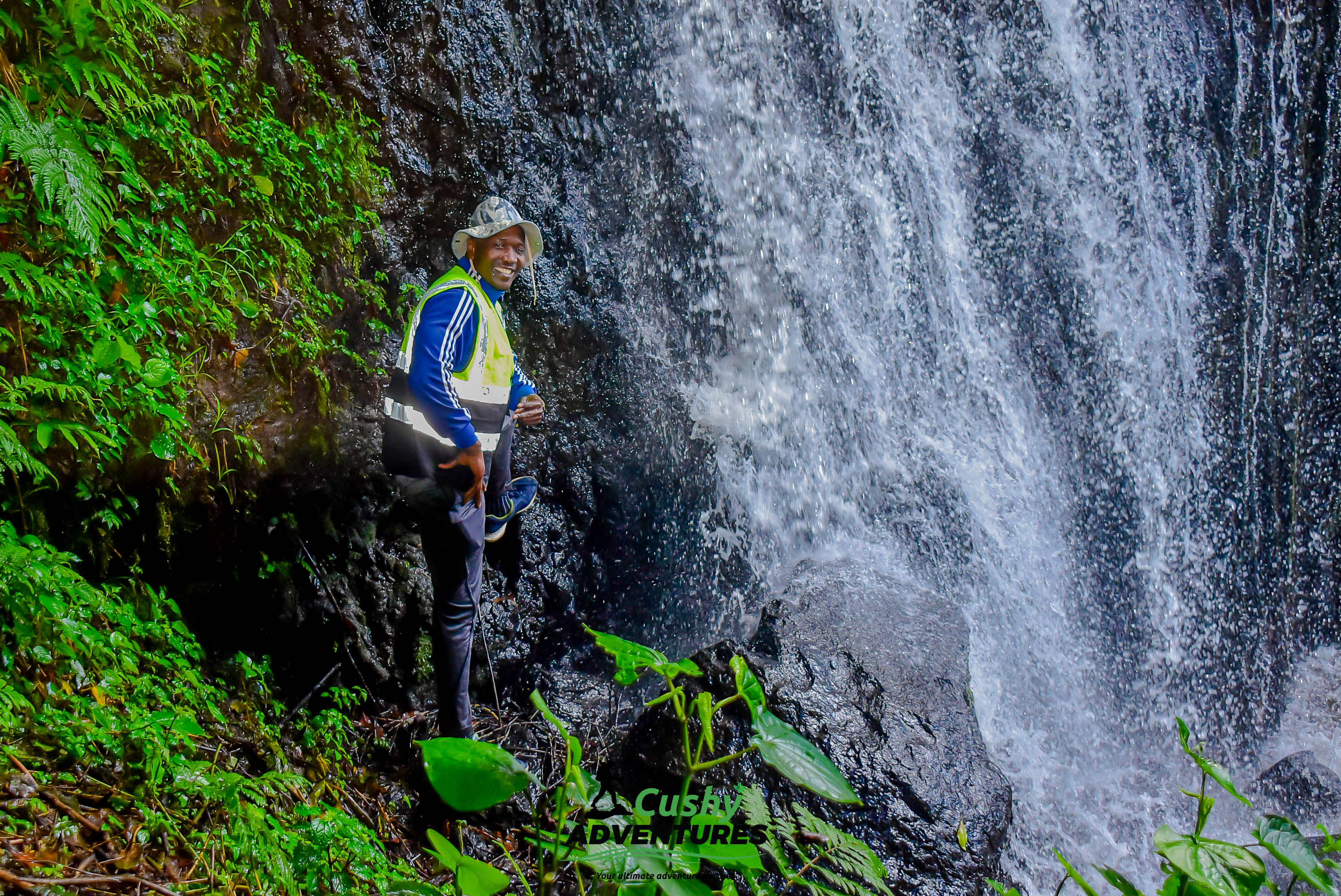 TIGONI TEA AND WATERFALL CHASE HIKE - HELLO 2026